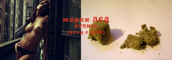 винт Дмитров