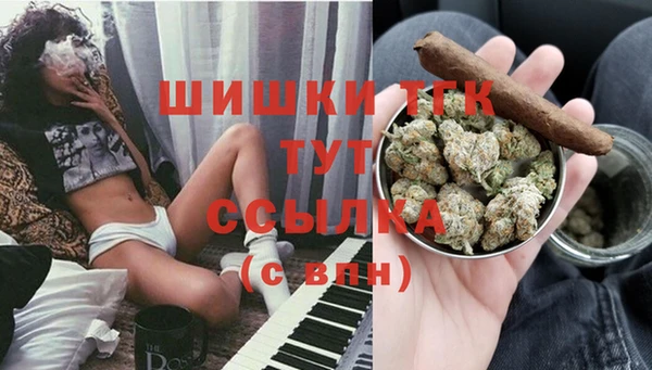стафф Дмитровск