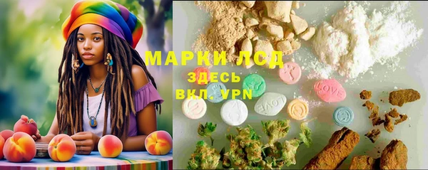 винт Дмитров