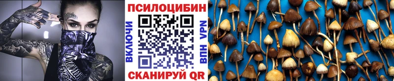 Купить закладки  Кушва  Псилоцибиновые грибы мицелий 